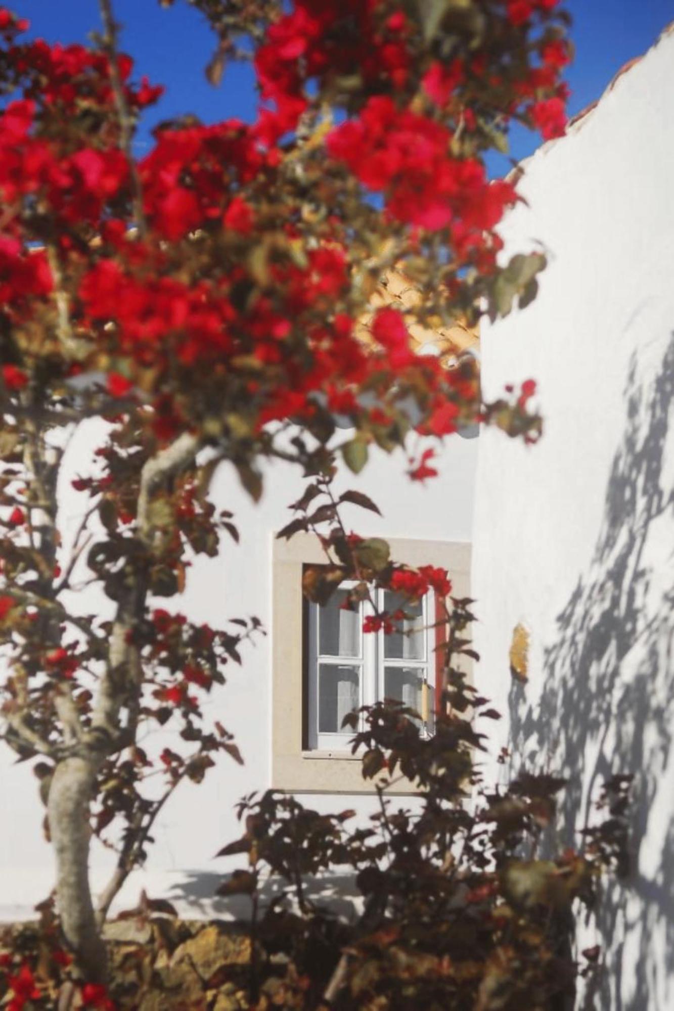 Casas Da Tia Alice - Casas De Campo Encantadoras Em มาฟรา ภายนอก รูปภาพ